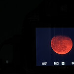 焼きもの家 慶 - 家に帰ったらちょうど真っ赤な月が地平を出た所だった。じっくり観る間もなく上空の雲に埋もれていった。