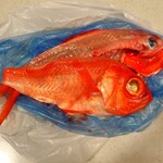 魚幸水産 - 今日の戦利品❤綺麗で大きい♬