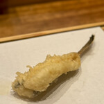 天婦羅 みやしろ - めごち天