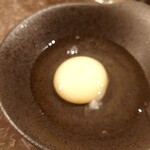 Kakehashi - 幻の白い卵
