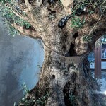 ベーカリー バンク - 