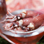 Itsuki - ２０２４年４月再訪：蛍烏賊☆