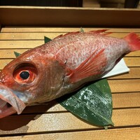 のどぐろ専門 銀座中俣 はなれ - 