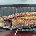 四日市ヒモノ食堂 - 鯖脂がのりのり