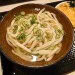 Kogane Seimenjo - かけうどん 中 冷