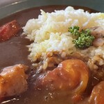 ナッシュカリー アメリカン - トマトカリー¥900外、中盛¥100外、辛さ2-5倍¥100外　ナッシュのカレーは甘スパイシーで独特な味だ。前回はそこにハマらずいまいちと感じていたが5辛+熱々のトマトにしたら最高に美味かった。