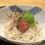 Teuchi Udon Akau - 