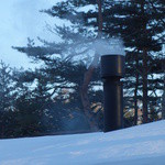 フォリオリーナ・デッラ・ポルタ・フォルトゥーナ - 