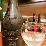 京かい道 割烹庵 松くら - 日本酒(新政、Ash)