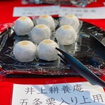 Inoue Koyoan - Gojō Kuri-filled Jōyō