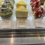 LESS by Gabriele Riva & Kanako Sakakura - 