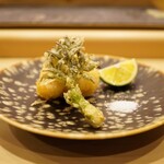 鮨 大門 - ◆トラフグの白子とタラの芽の天ぷら
      タラの芽も魚津産というこだわりよう。