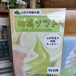 龍宮の潮吹交流施設 元乃隅売店 - 