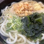 Udon No Fujii - 出汁が少しグレードアップ？