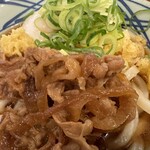 Marugame Seimen - 冷たい肉たまぶっかけうどん並 拡大