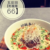 彬龍華 66 - 