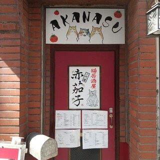 赤茄子_2