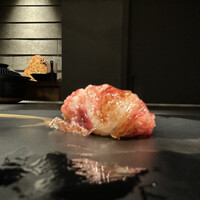 YANAGI TePPaN UNBORN GASTRONOMY - 