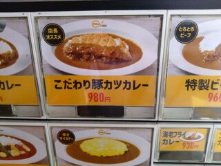 MAJI CURRY - 