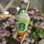 STARBUCKS COFFEE - 