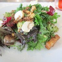 Benoit Alain Ducasse - サラダ・ブノワ