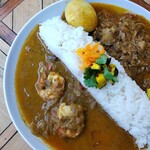 Spice Hut - 2種盛り 1500円、ご飯大盛り無料、ルー大盛り 200円、スパイスエッグ 150円