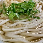 讃岐ブルース 飯田橋 - 好きな太さです