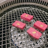 日本焼肉 はせ川 銀座店 - 