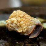 鮨 美幸 - 北寄貝