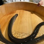 うなぎと炭焼 久松 - 