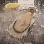 THE CAVE DE OYSTER - 