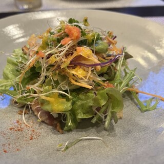 ルビストロタシマ_1