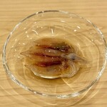 川田 - 2024.4.  生蛍烏賊