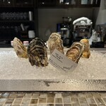 Oysterbar&Wine BELON 渋谷店 - 