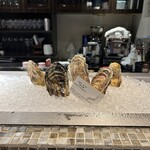 Oysterbar&Wine BELON 渋谷店 - 