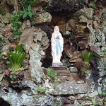 카메리아 - 井持浦教会(ルルド)  