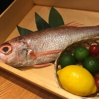 のどぐろ専門 銀座 中俣 - 