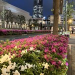 レナーズ 横浜ワールドポーターズ店 - 