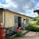 スープカレーなっぱ - 