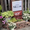 レストラン しん