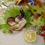 天橋立離宮 星音 - 宮津名物、追加のトリ貝