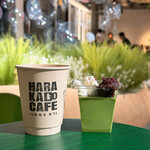 Harakado Kafe - カフェラテと抹茶ババロア