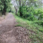 おやじの台所　森崎 - 