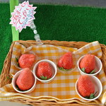 常吉いちご園 - 蜜苺？半信半疑で買ってみると…