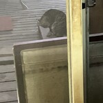 イースト・ロード - イーストロードの猫たんฅ^•ω•^ฅ3匹居るらしいが見分けつかないよ
