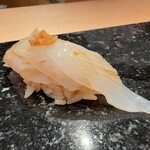 匠　達広 - ヤリイカ