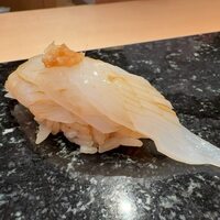 匠　達広 - ヤリイカ