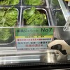 ななや 藤枝店