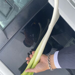 山本さかなや - 