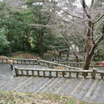 常吉いちご園 - 久能山東照宮まで1159段の石の階段をひたすら上る